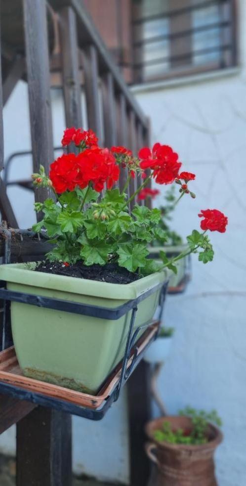 Guesthouse Eleni Palaios Panteleimonas Zewnętrze zdjęcie